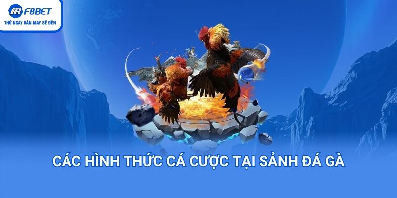 các hình thức cá cược tại sảnh đá gà