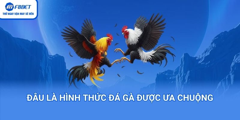 đâu là hình thức đá gà được ưa chuộng