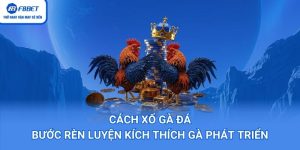 Cách Xổ Gà Đá – Bước Rèn Luyện Kích Thích Gà Phát Triển