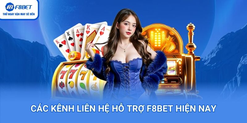 Các kênh liên hệ hỗ trợ F8BET hiện nay